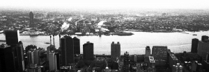 IMG0004